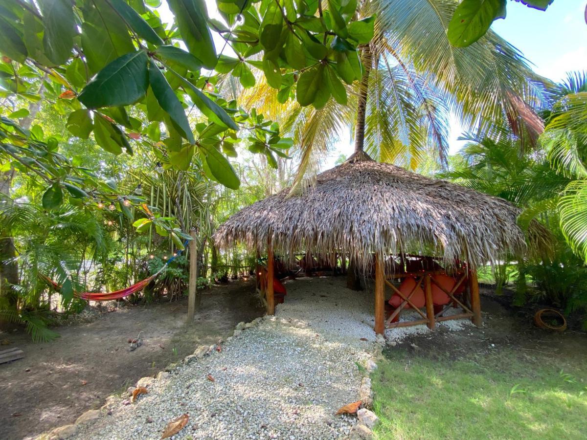 Tropical Village Punta Cana Extérieur photo